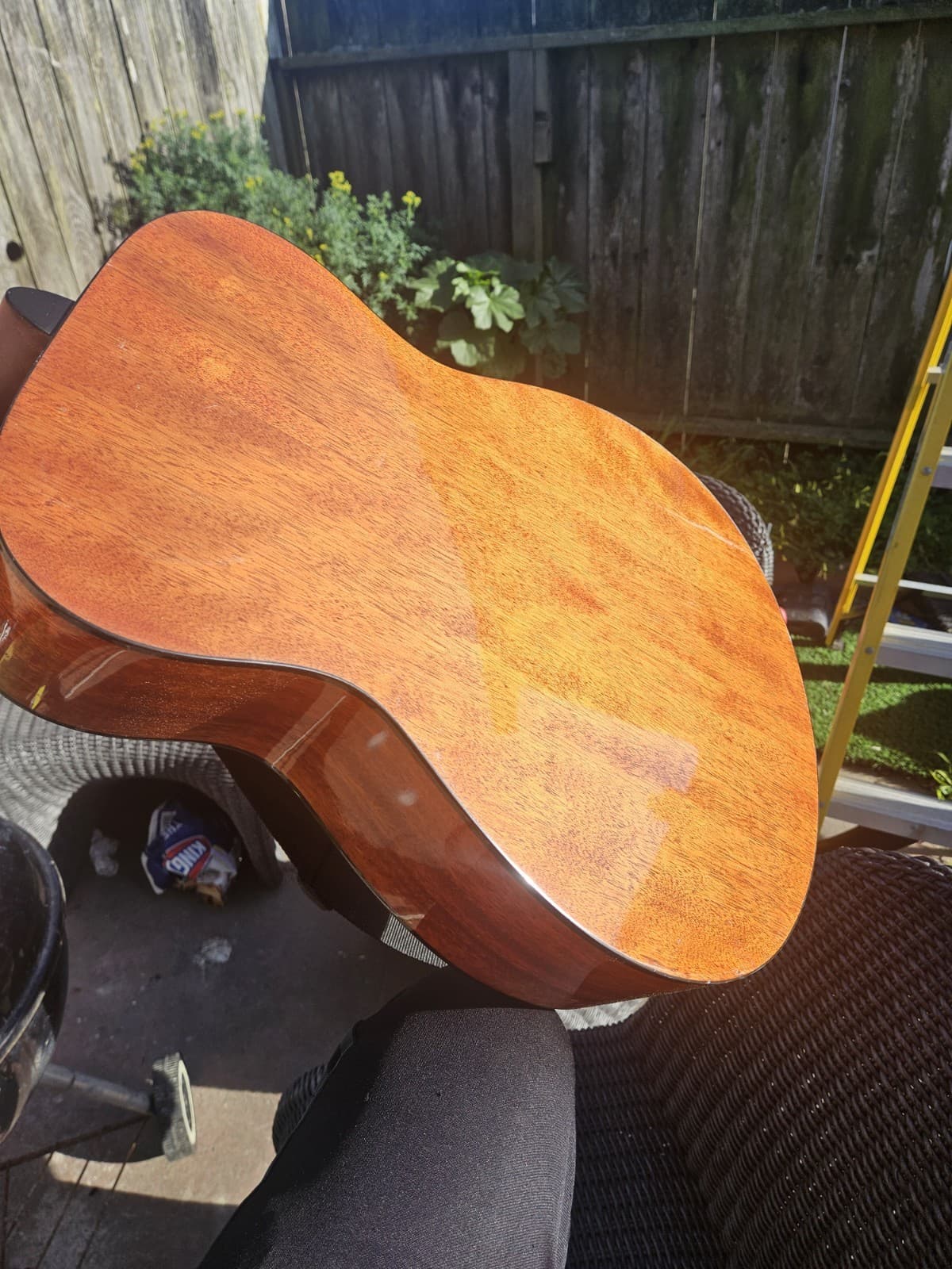 Acoustic Guitar