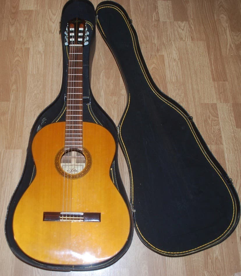 Aria A554 Acoustic - Classical Guitar With Soft Shell Case