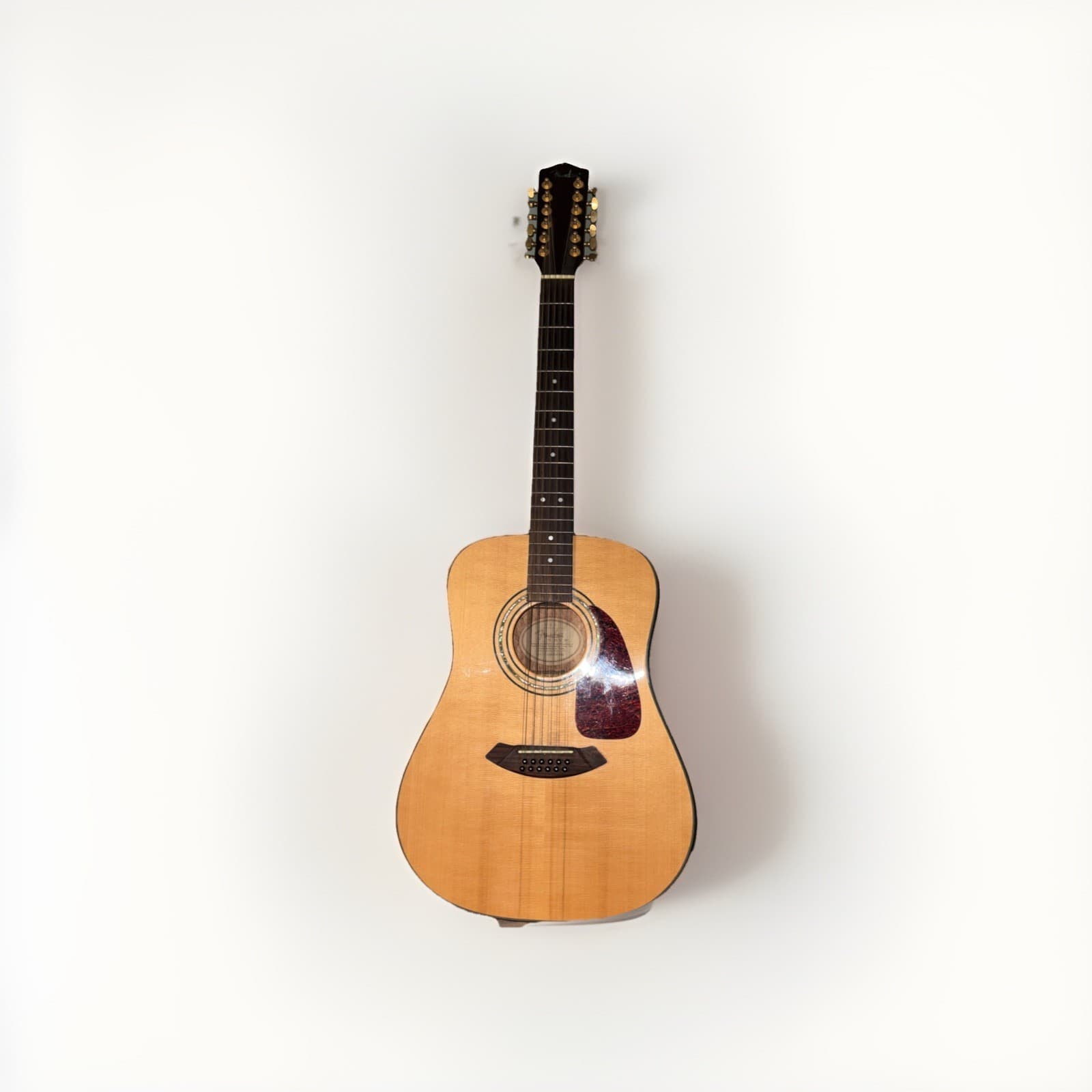 12 String Guitar Fender