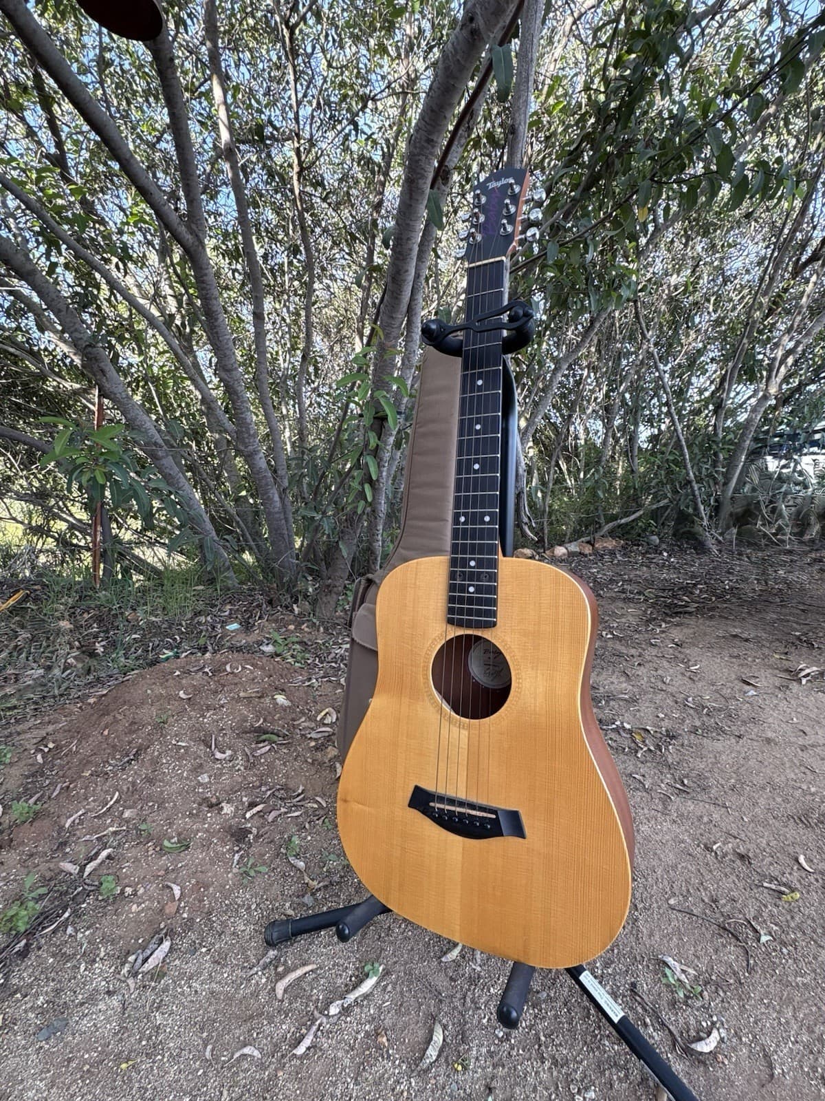 Taylor Baby 301 Acoustic Guitar 3/4 Spruce/Mahogany 6 String w/ Gig Bag