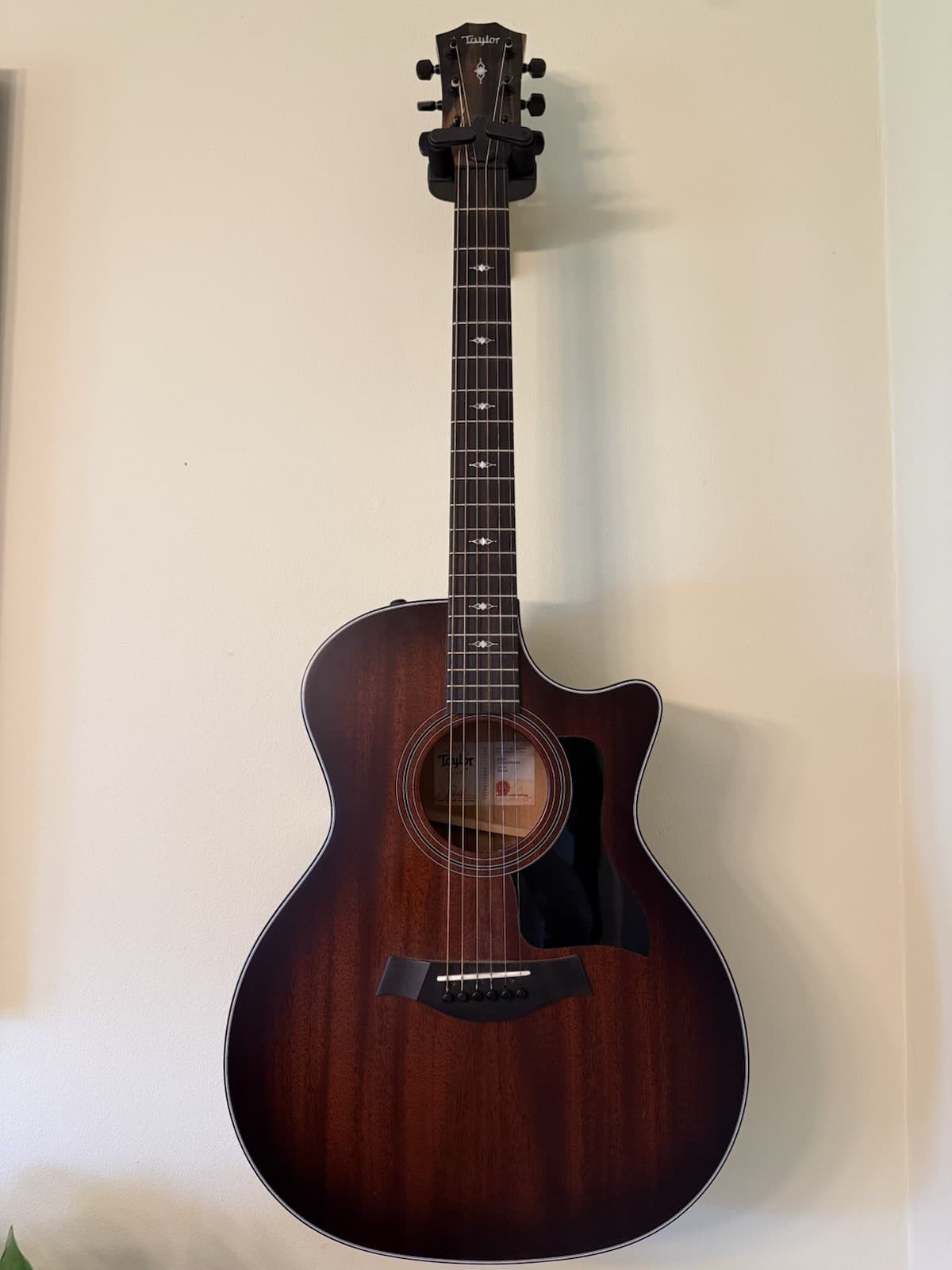 Taylor V-class Grand Auditorium 324ce Acoustic Guitar Mahogany Ebony Brown 38439