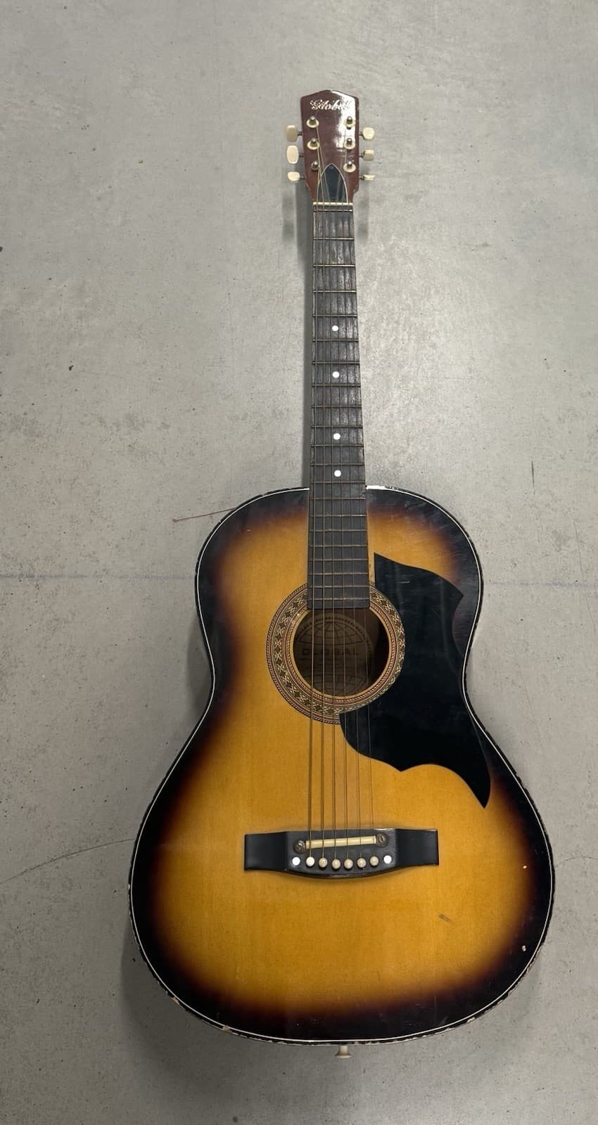 Vintage Wood GLOBAL Acoustic 6 String Guitar Instrument Musical