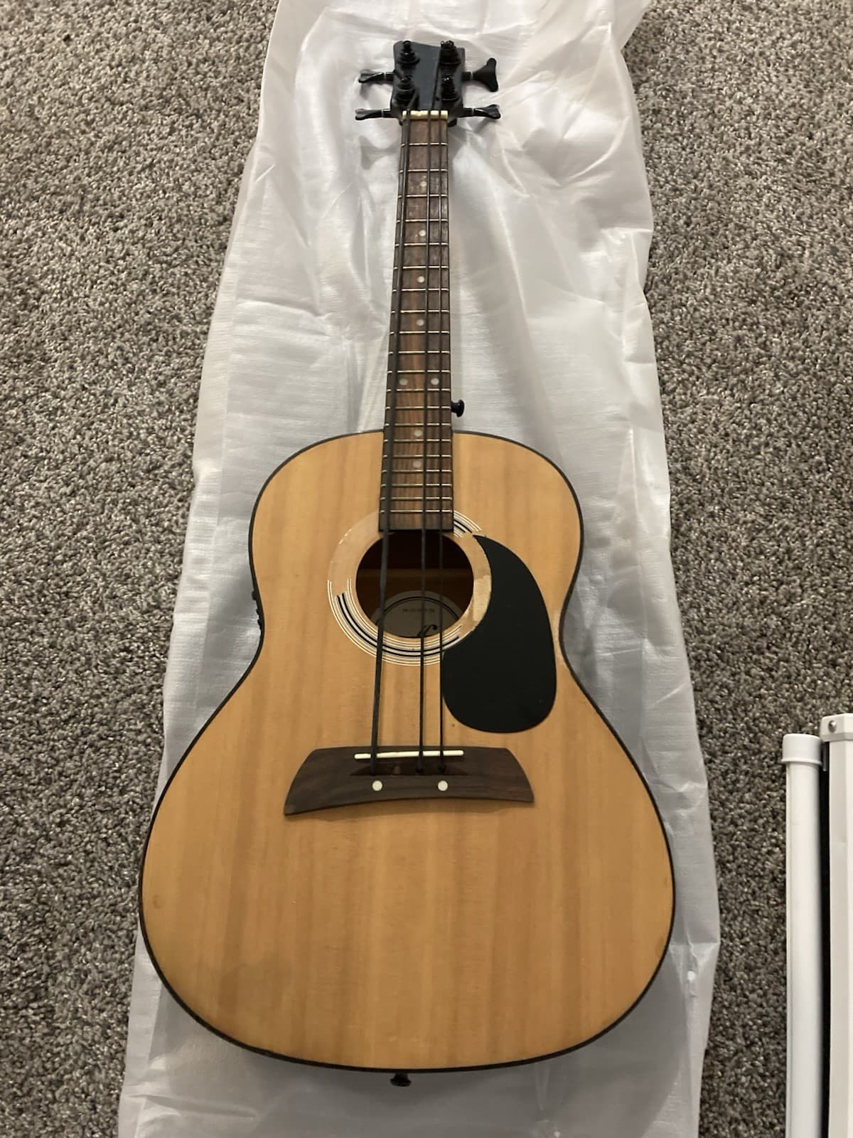 electric acoustic bass guitar