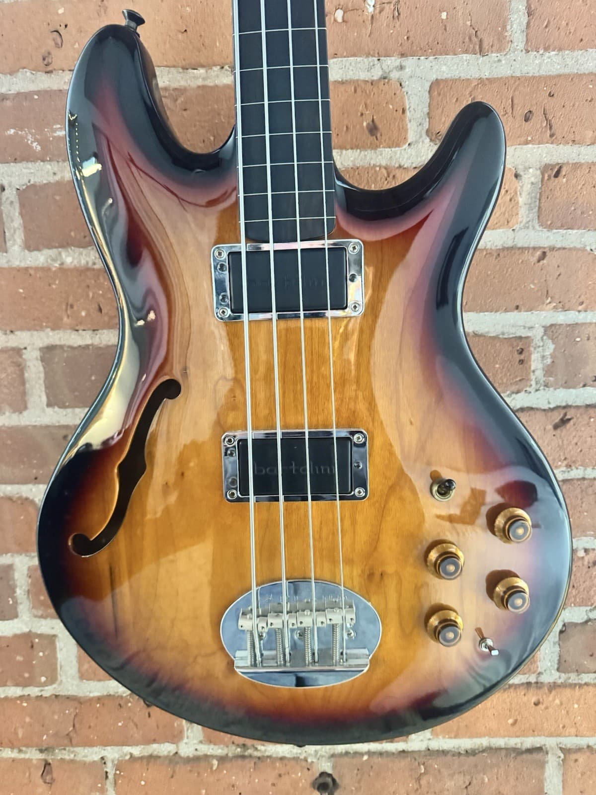 Lakland Semi Hollow Lined Fretless Bass Guitar Designed By Michael Tobias