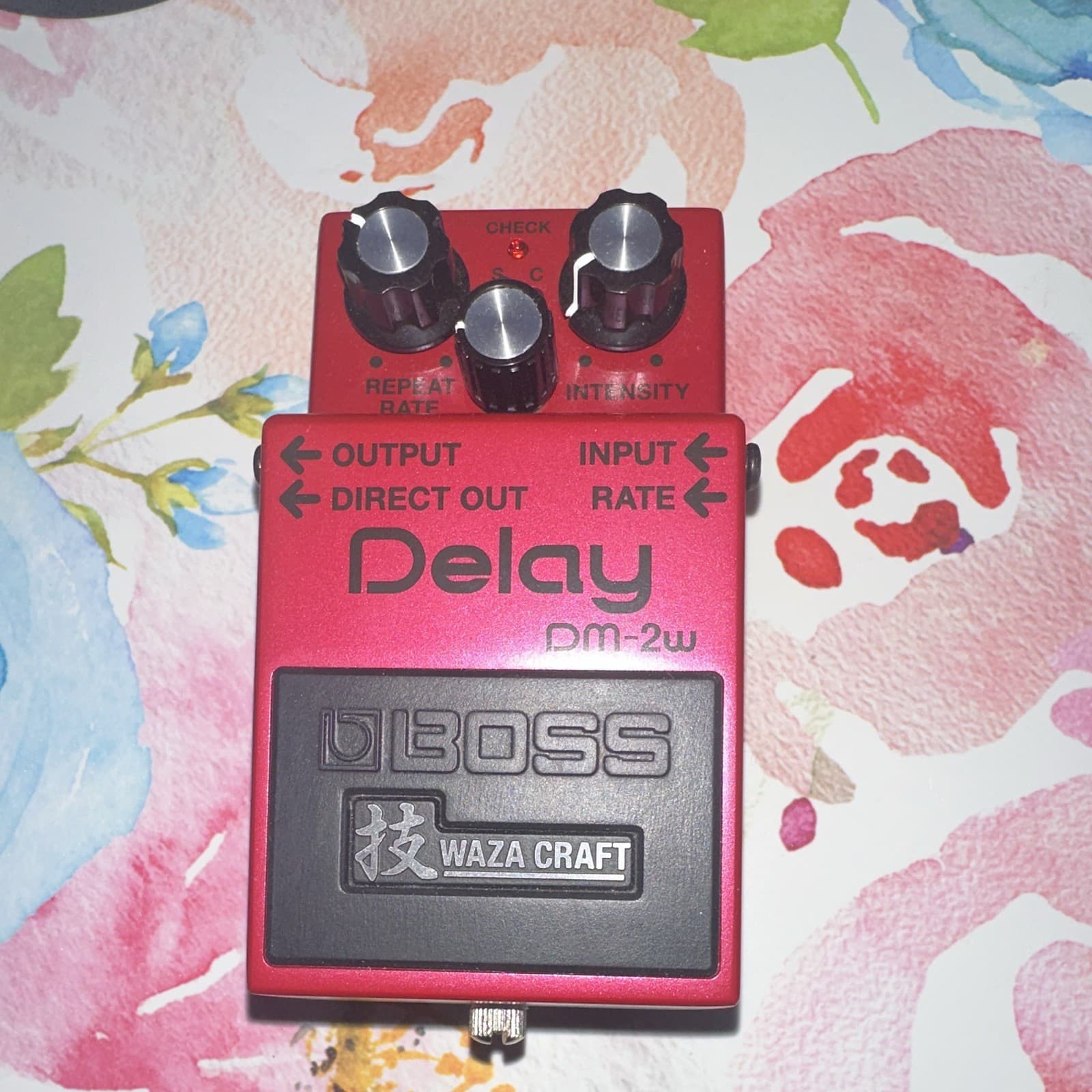 BOSS DM-2W Waza Craft Analog Delay Pedal for Electric & Bass Guitar