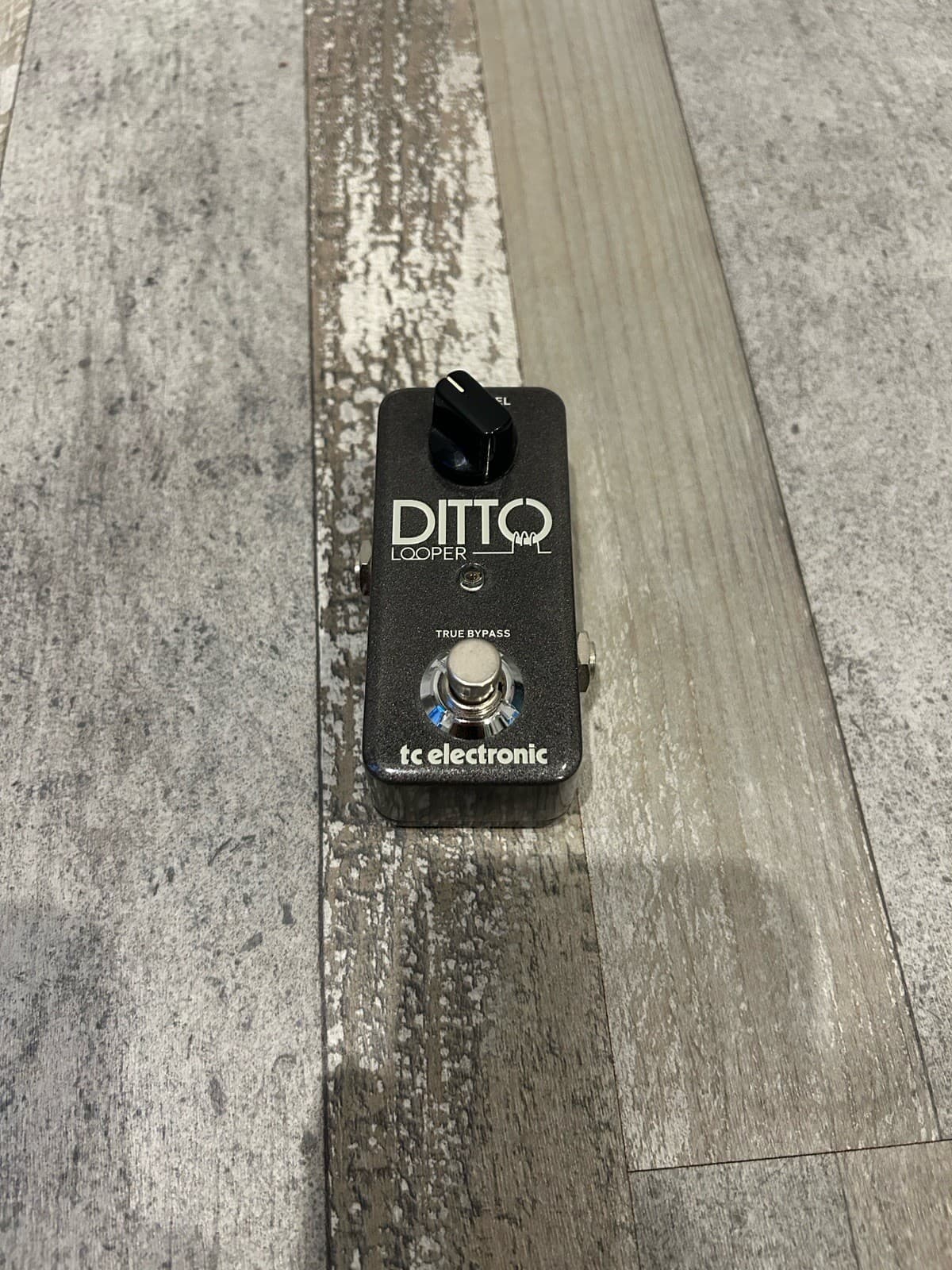 TC Electronic Ditto Looper Guitar/Bass Effects Pedal