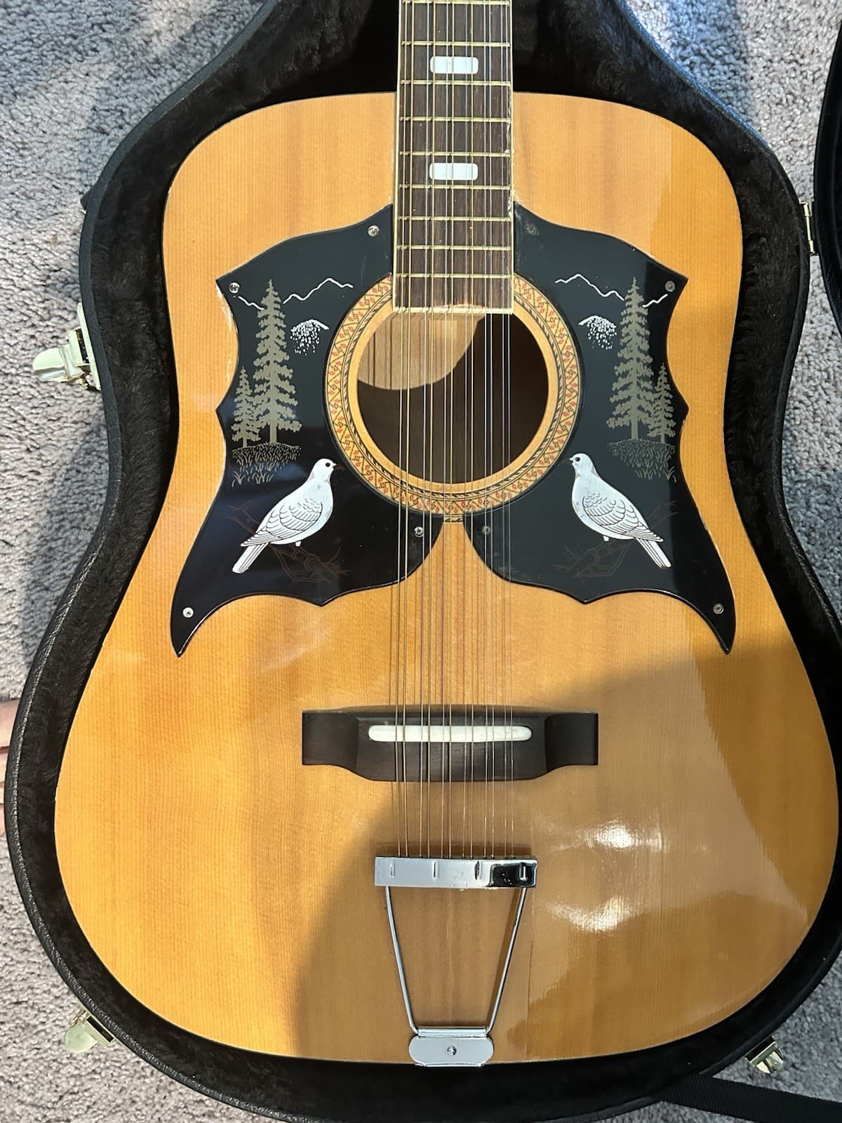 National 12-String Acoustic Guitar w/ Decorative Bird Pickguard + Hard Case