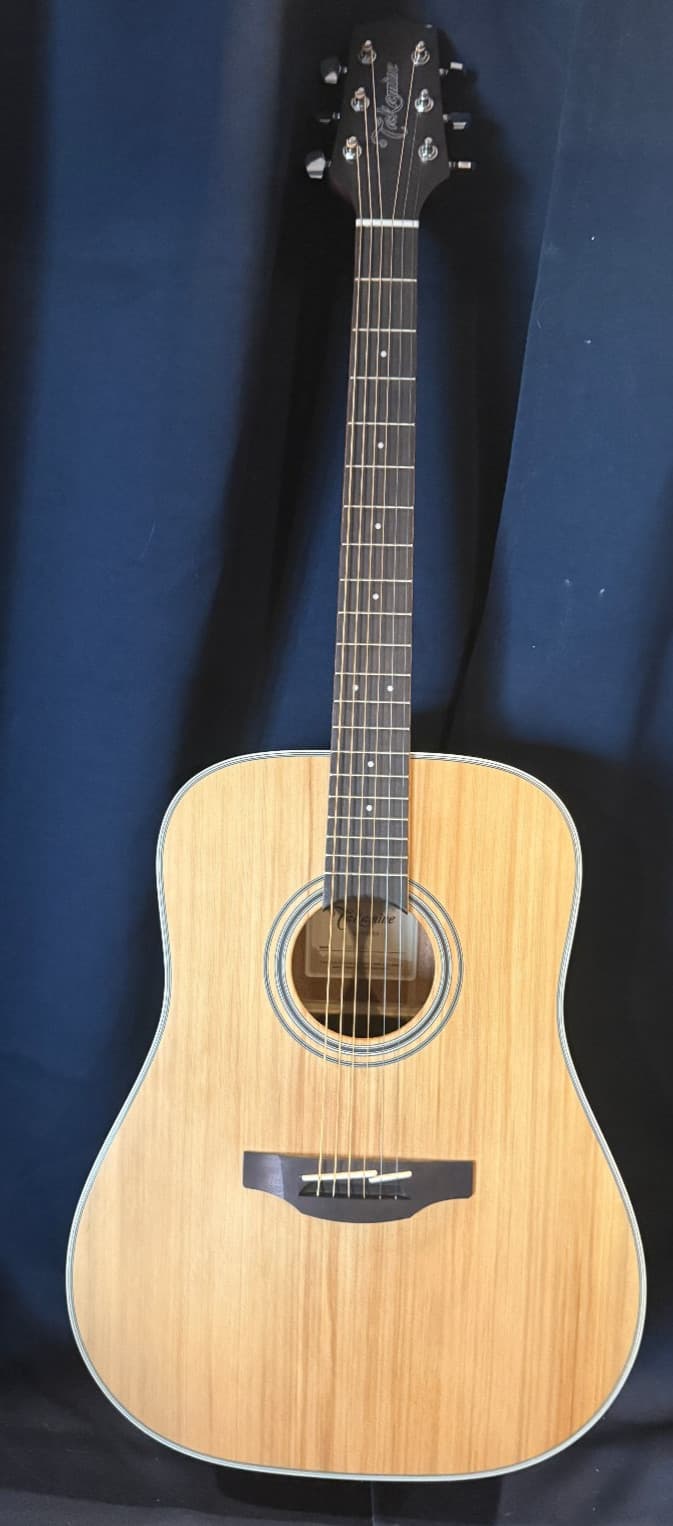 Takamine GD20 Dreadnought Acoustic Guitar, Natural w/ new Gator Gig Bag