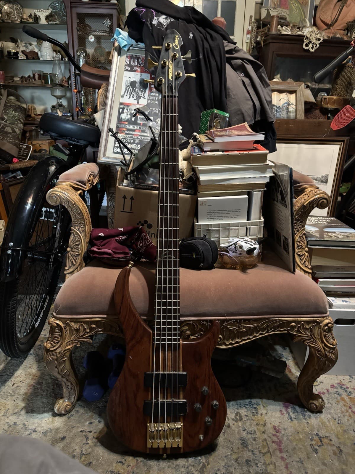 Peavey Cirrus 5ive String Bass