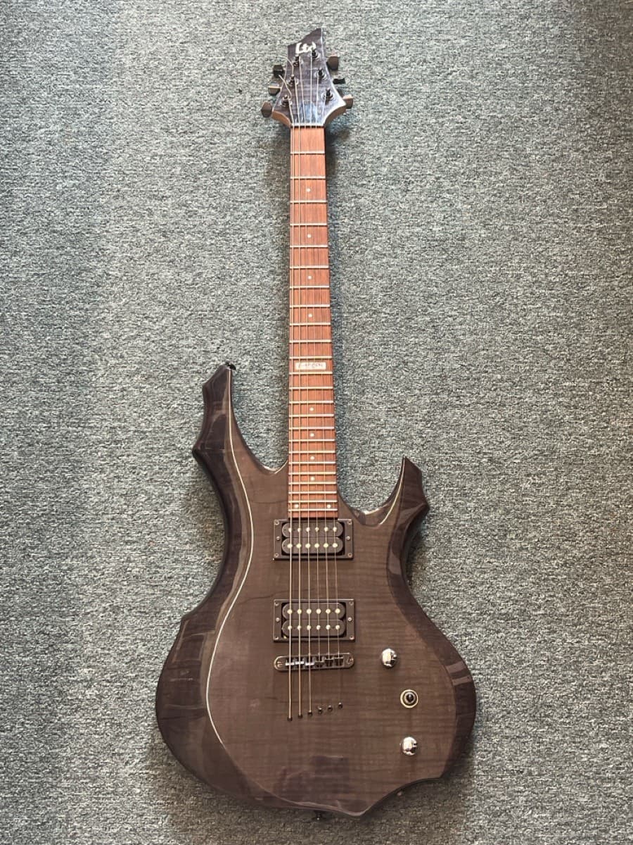 LTD GUITAR - DESIGNED BY ESP F-100FM (FC2012399)