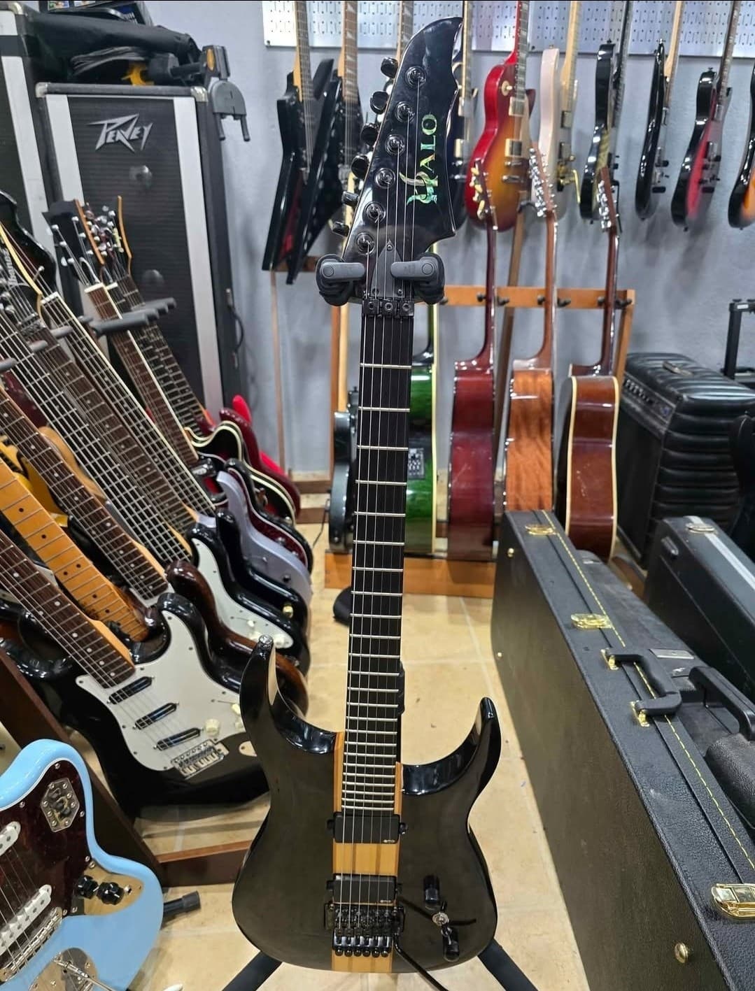 Halo Merus 6 String Baritone Guitar