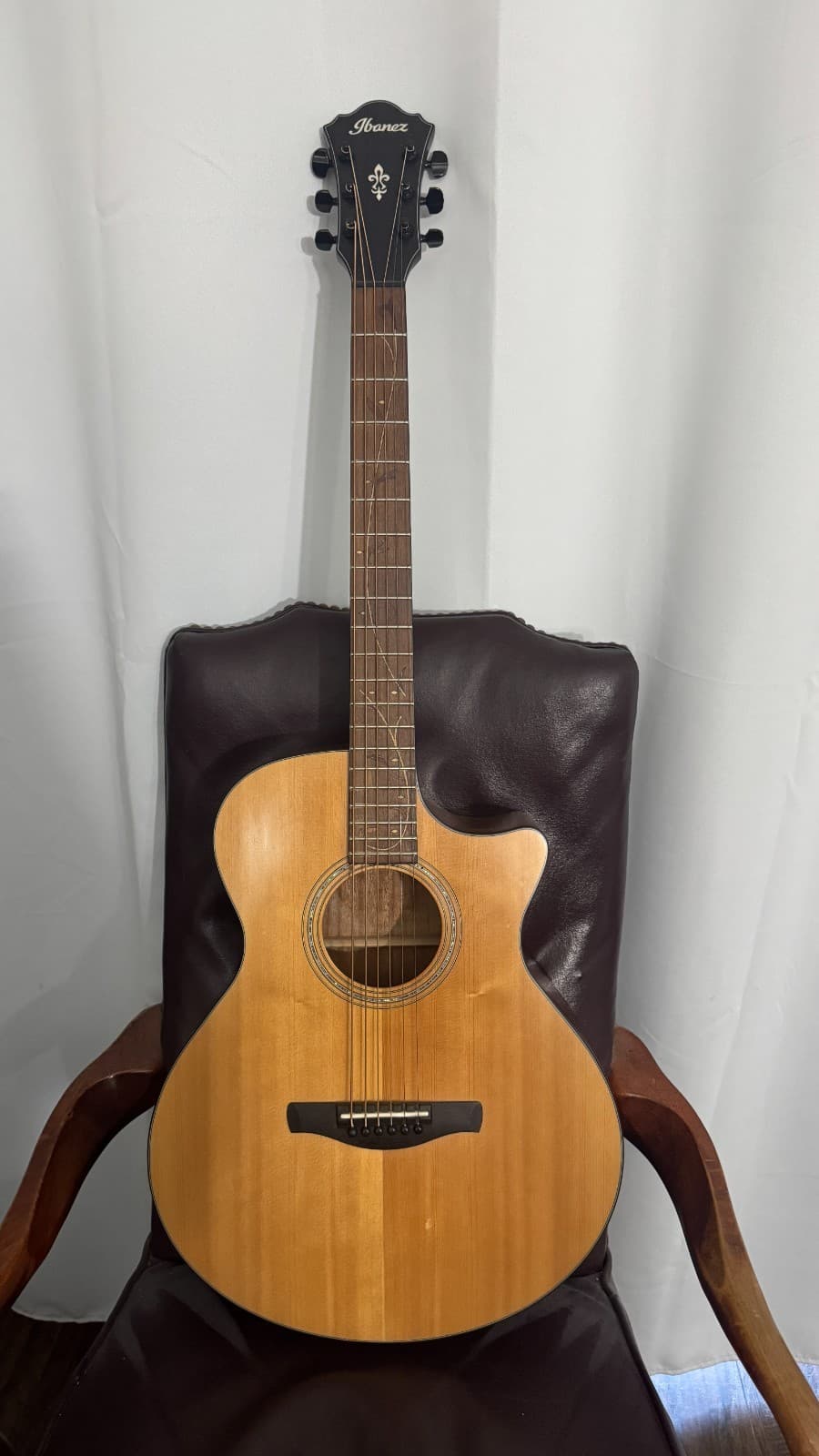 Ibanez AE275BT Baritone Guitar