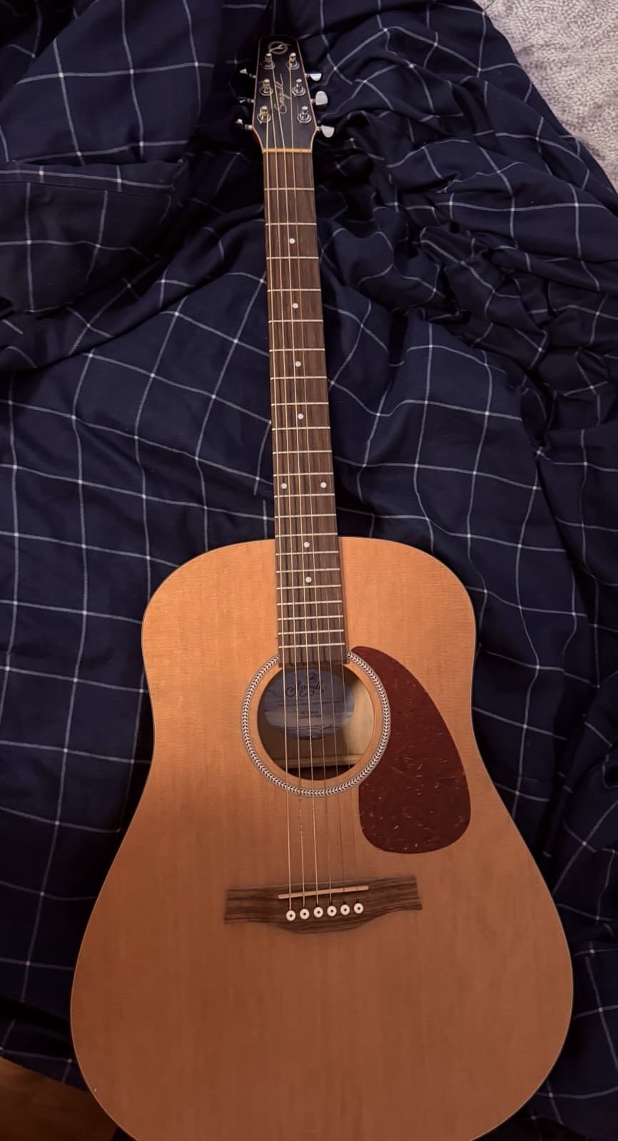 Seagull Acoustic Guitar with Gig Bag