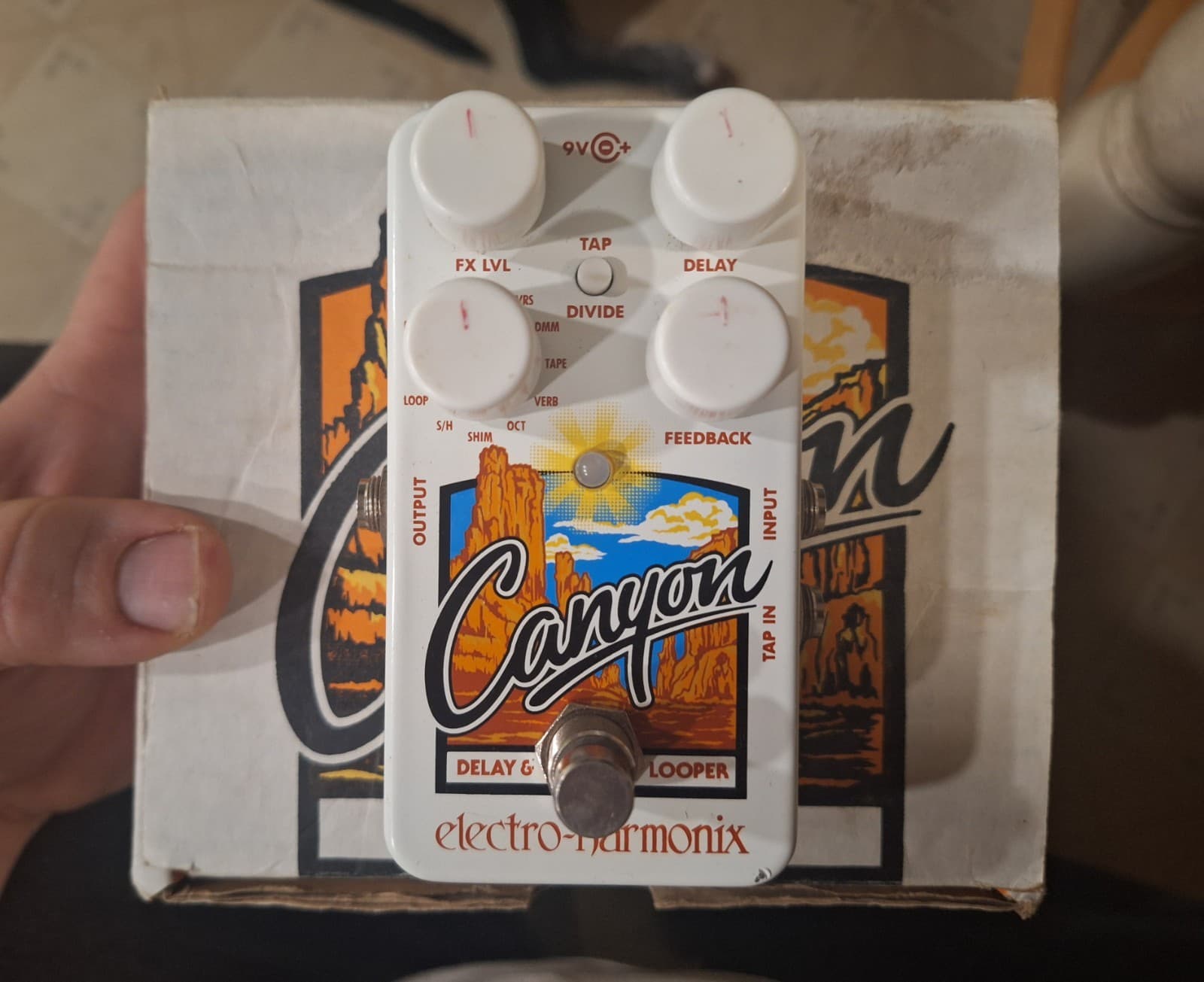 Electro-Harmonix Canyon Delay and Looper Guitar Pedal
