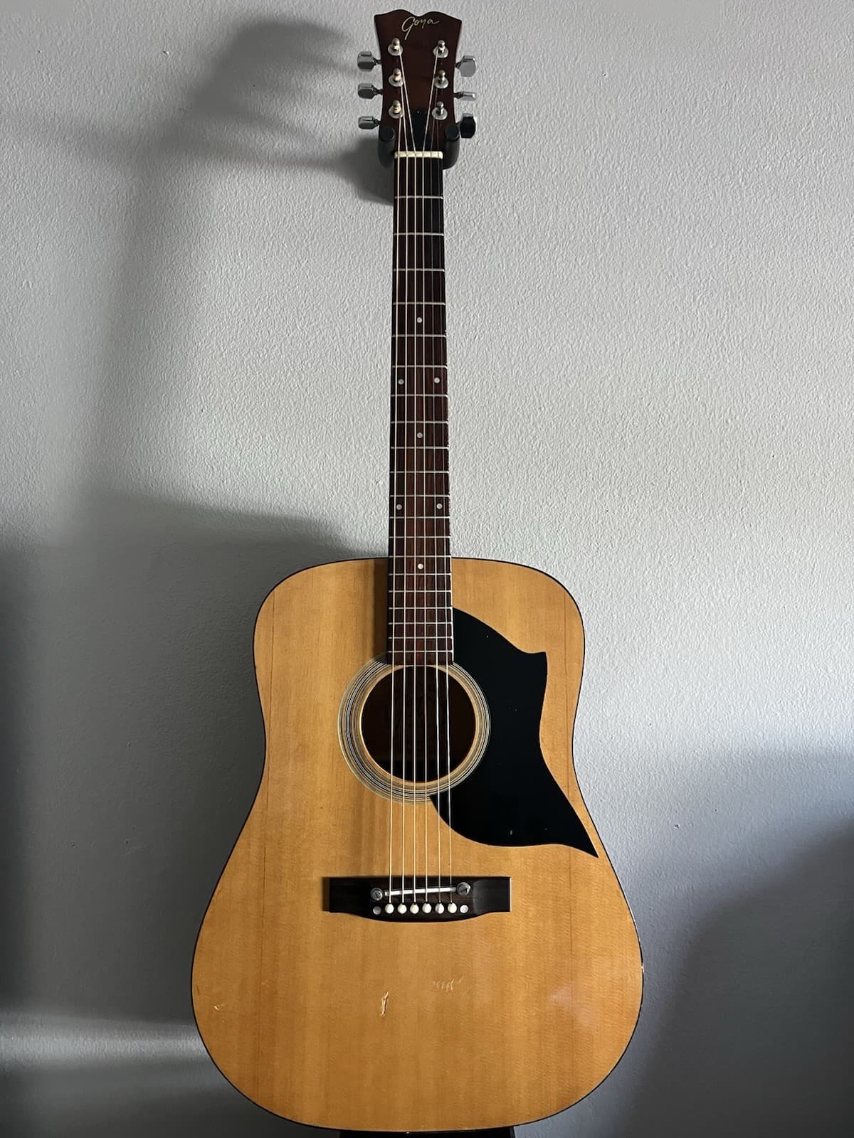 Goya G310 Acoustic Guitar Martin