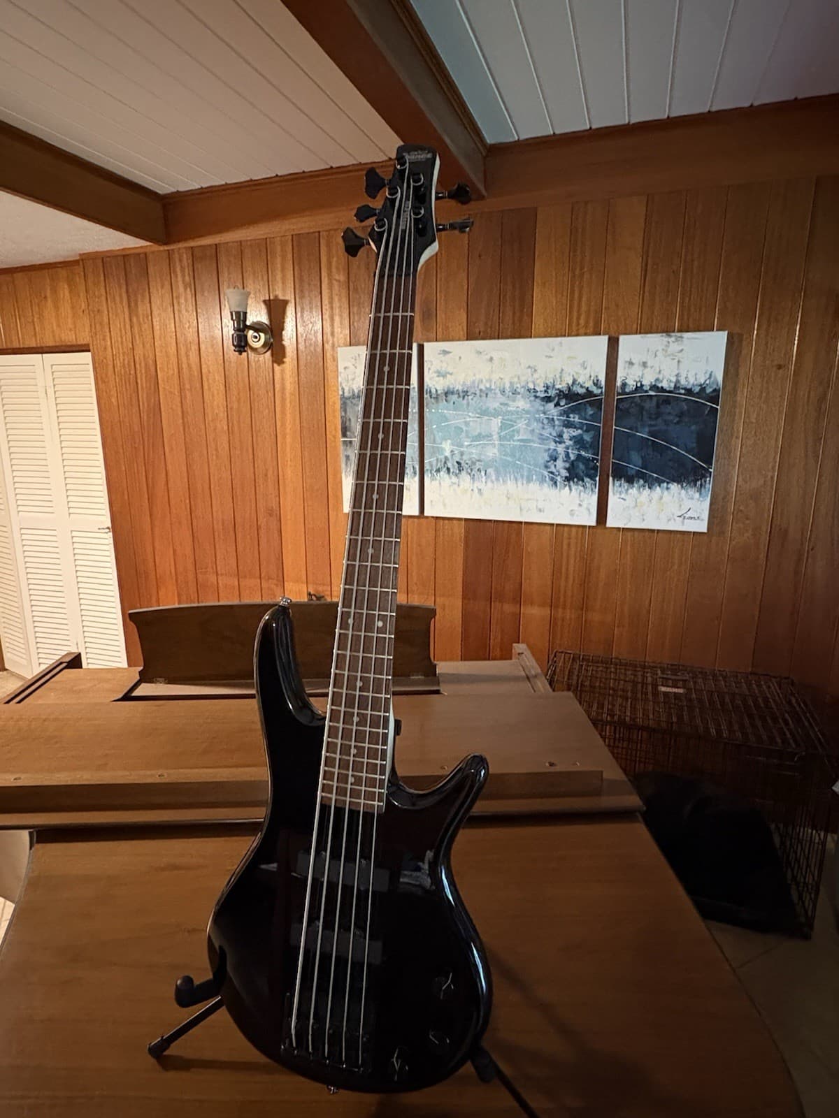Ibanez Mikro GSRM25 5-String Electric Bass Guitar - Pro Modded