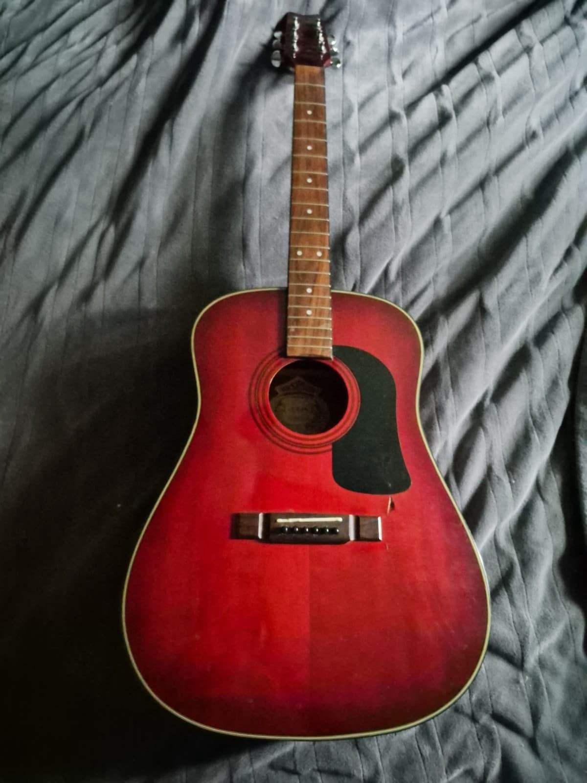 Washburn Guitar D10WR Electric Acoustic Guitar with Soft Case