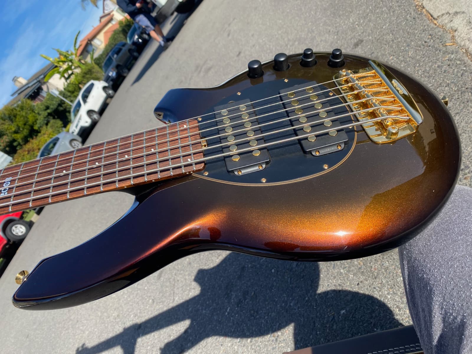 2008 Ernie Ball Music Man Bongo 6 Limited Edition Bass - Sequoia Gold w VIDEO