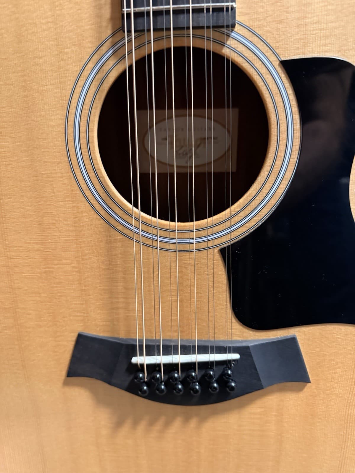 Taylor 150e 12 String Acoustic Guitar