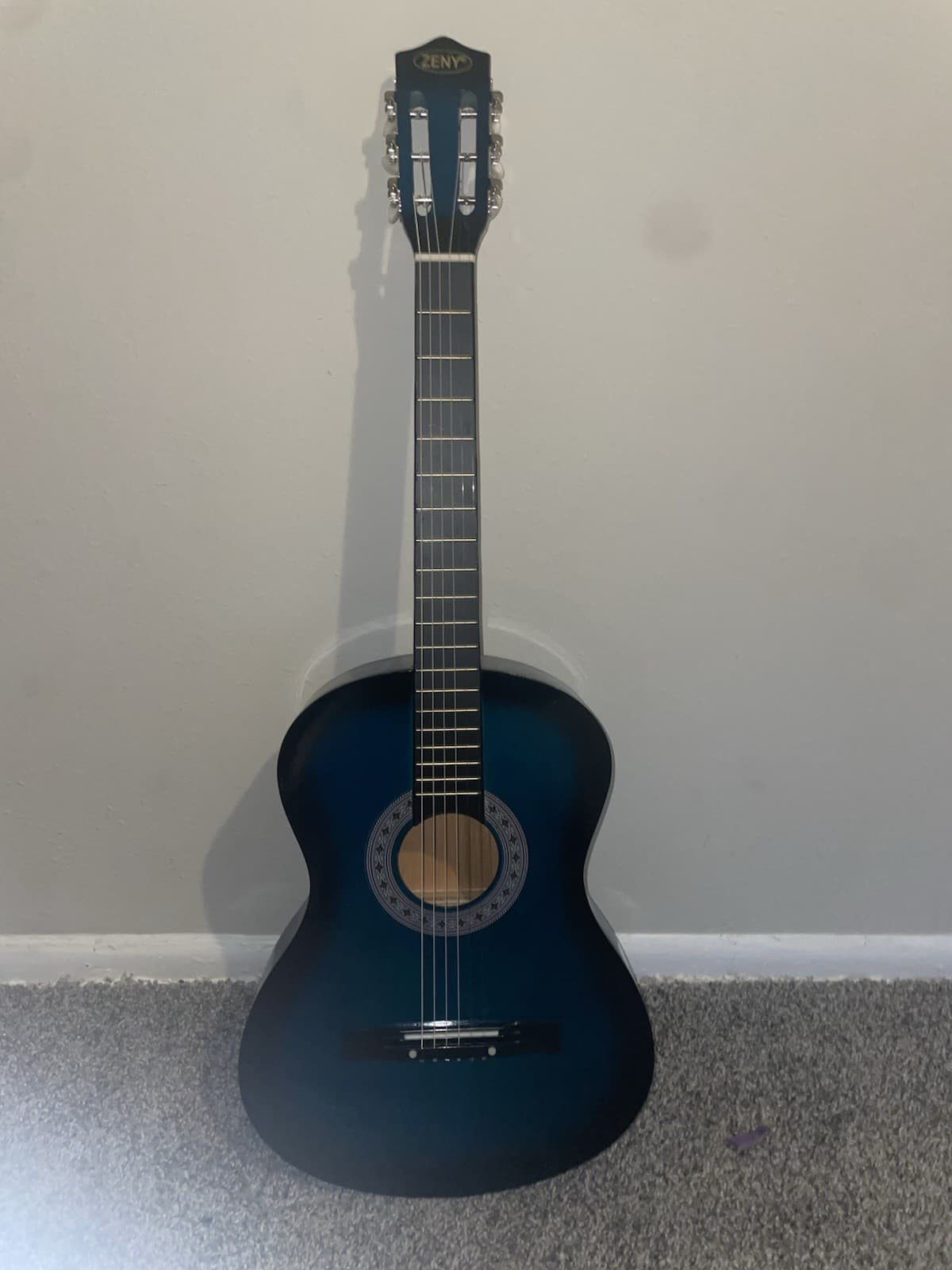 ZENY 01026 Beginner Acoustic Guitar Starter Kit - Blue