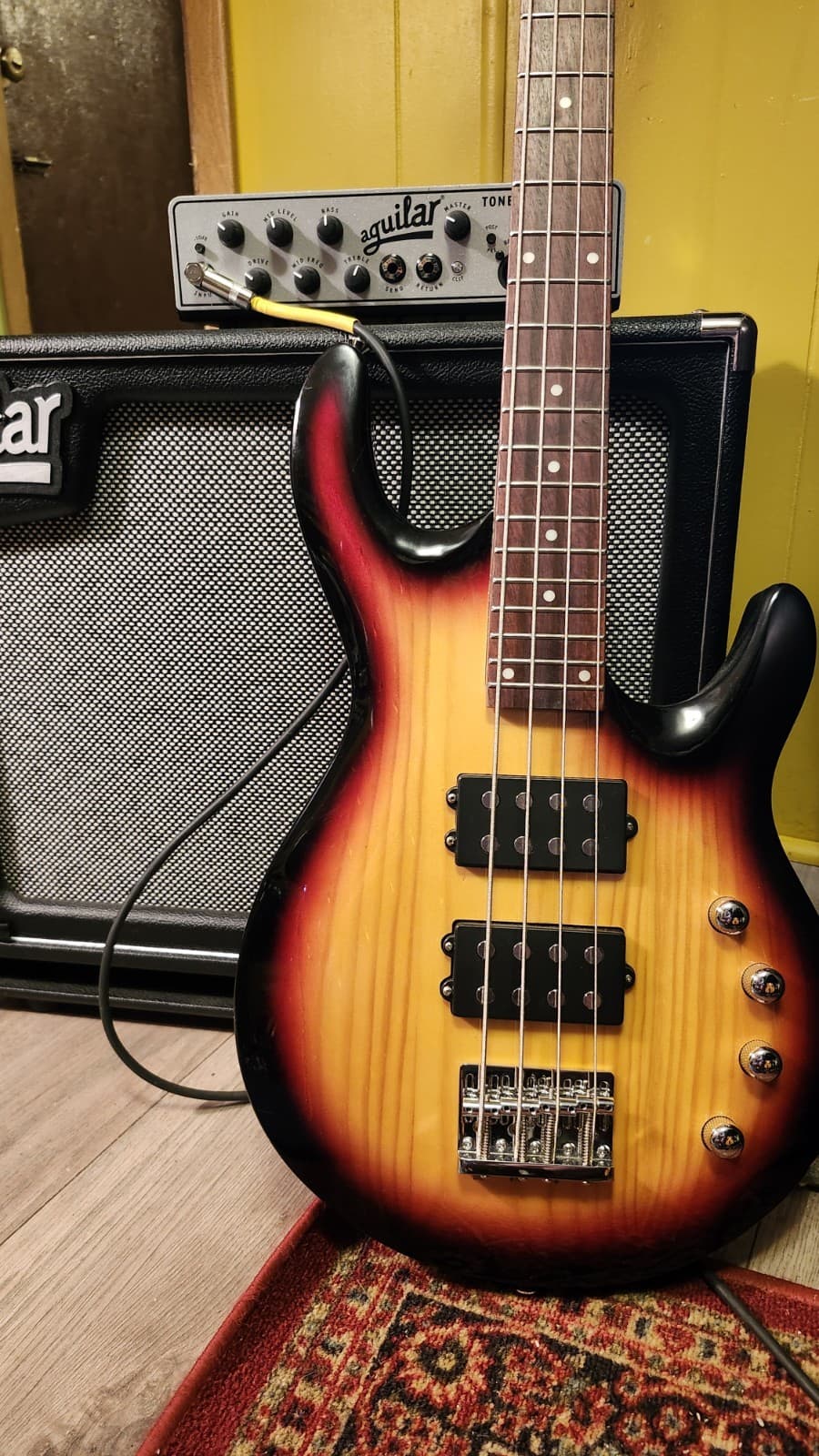 IYV musicman /lakland Style Bass W/ New Gig Bag