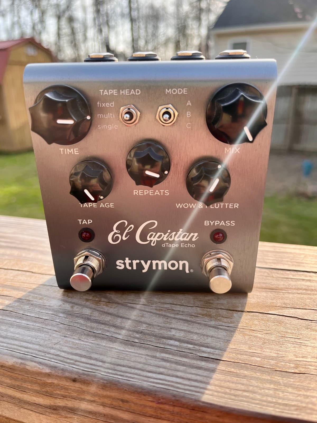 Strymon El Capistan dTape Echo Tape Echo Delay Pedal for Electric Guitar