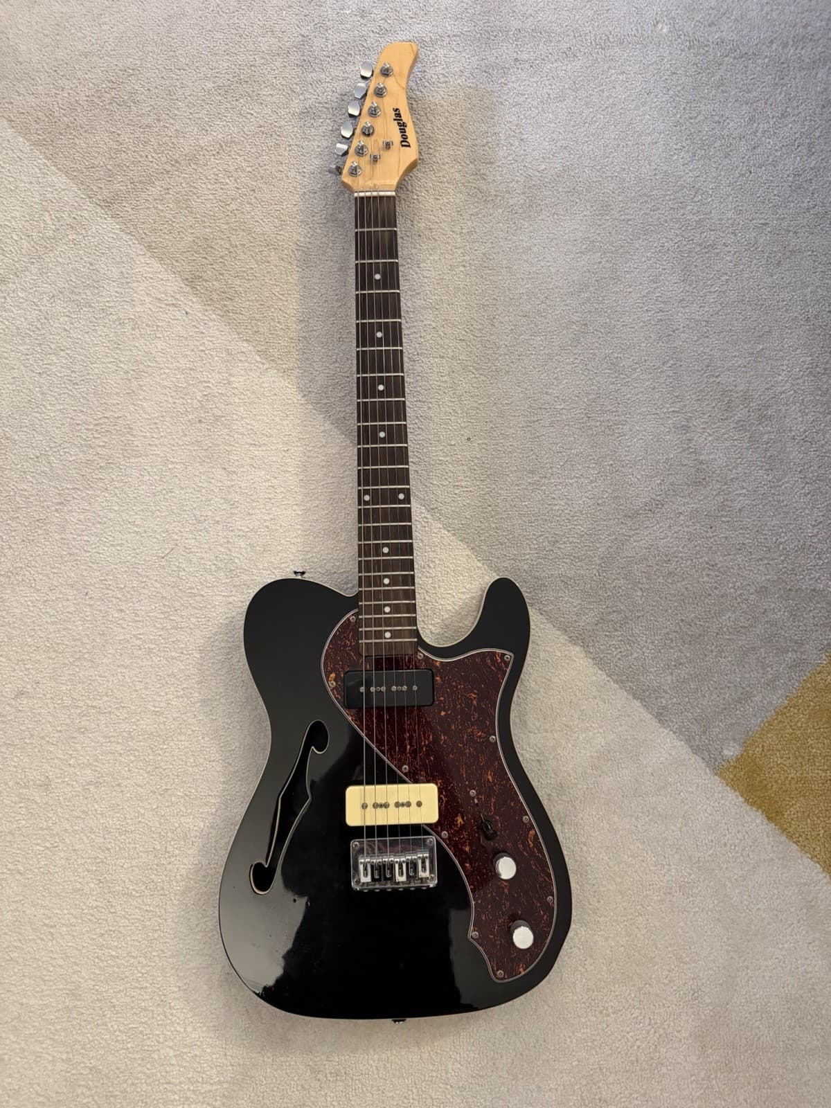 Douglas Gravity NT semi-hollow thinline Tele-style electric guitar