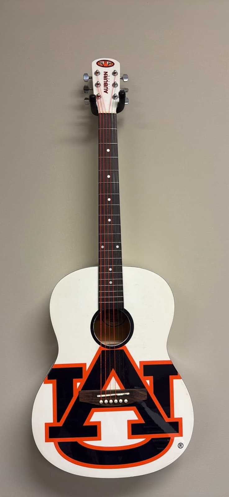Auburn Acoustic Guitar