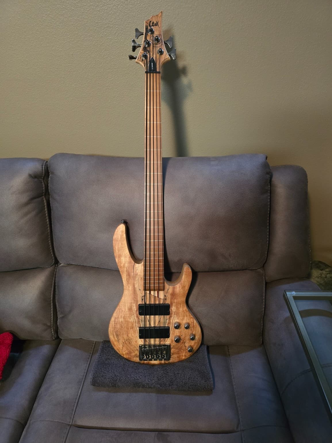 ESP LTD B-205SM Fretless 5-String Bass