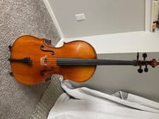 Great Condition Intermediate Level Handcrafted Full Size 4/4 Draco Cello