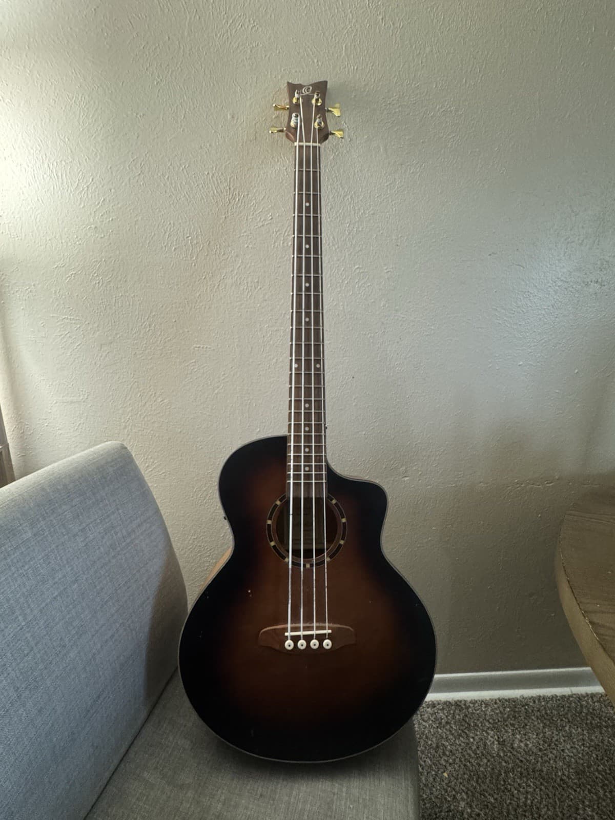 Acoustic Bass Guitar