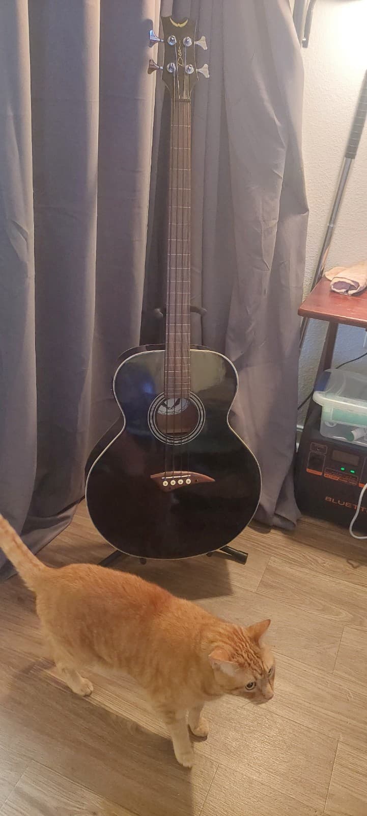 Dean Black Acoustic Bass Guitar 4-String w/ Strap Stand