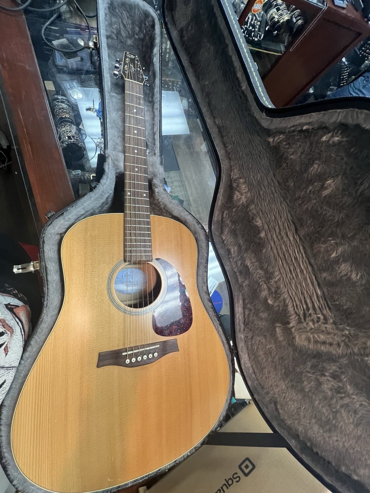 Seagull Coastline S6 6 String Acoustic Guitar Spruce