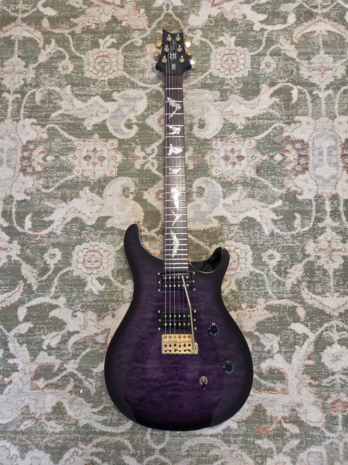 Paul Allender PRS SE Electric Guitar