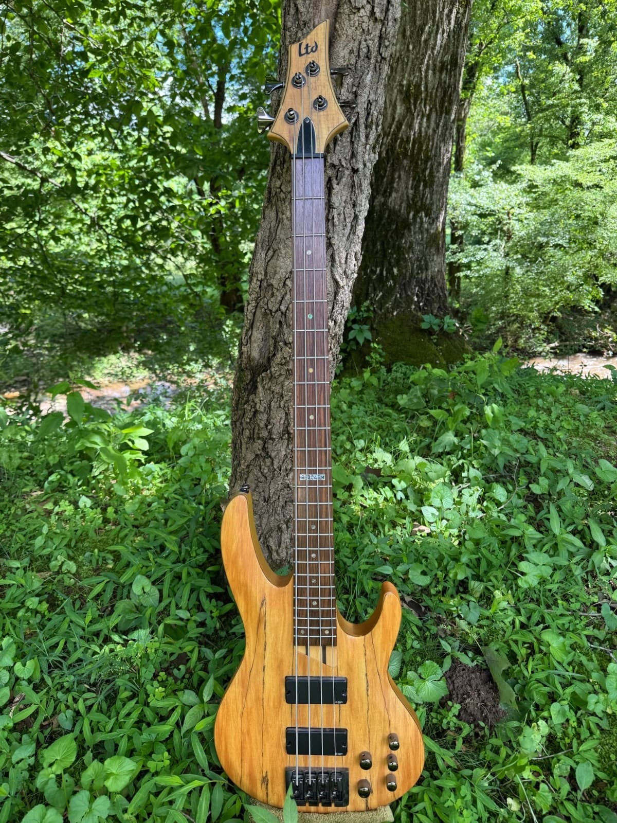 ESP LTD B-204SM Bass Guitar, Natural Satin Finish, Great Condition, w/case