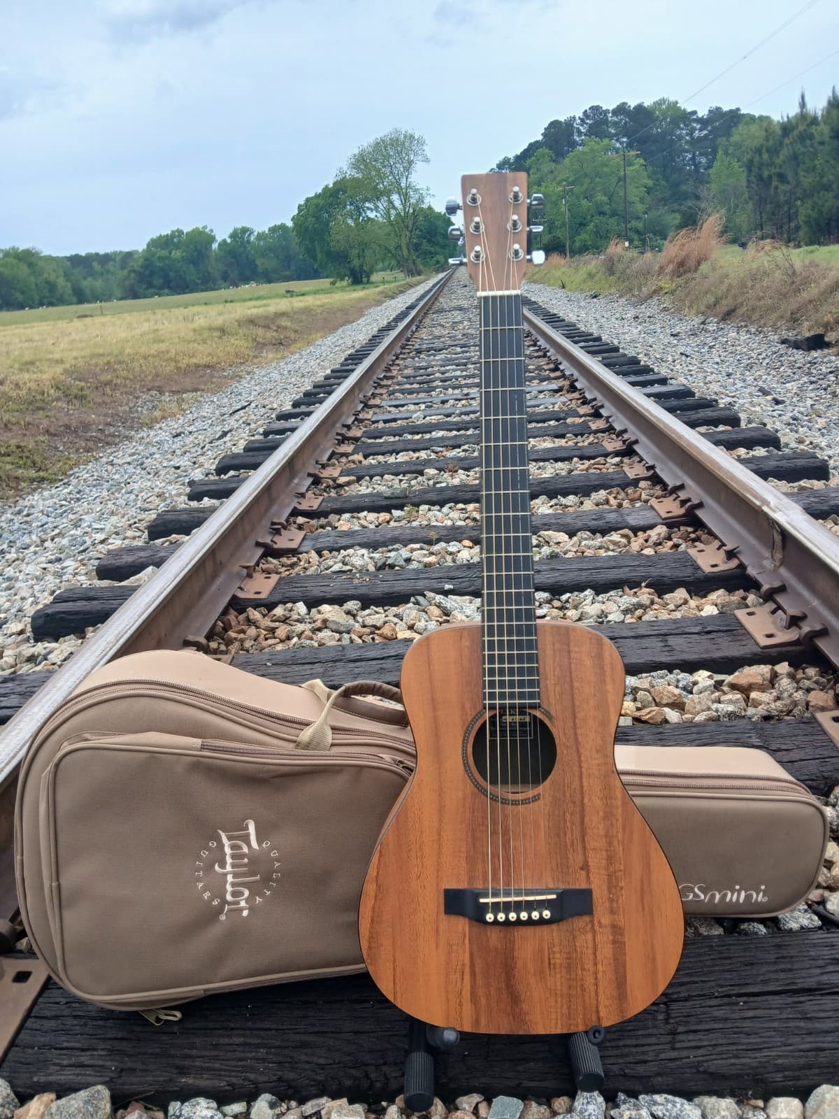 Martin LXK2 Little Martin X Series Koa w/Taylor GS mini Gig Bag~Video