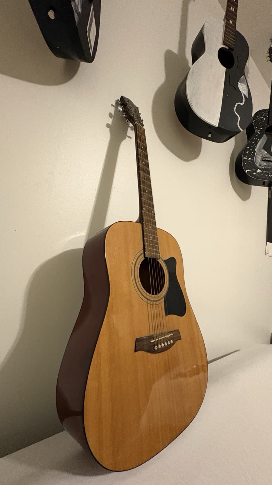 Ibanez Dreadnought Acoustic Guitar 6 String Brown Spruce Rosewood