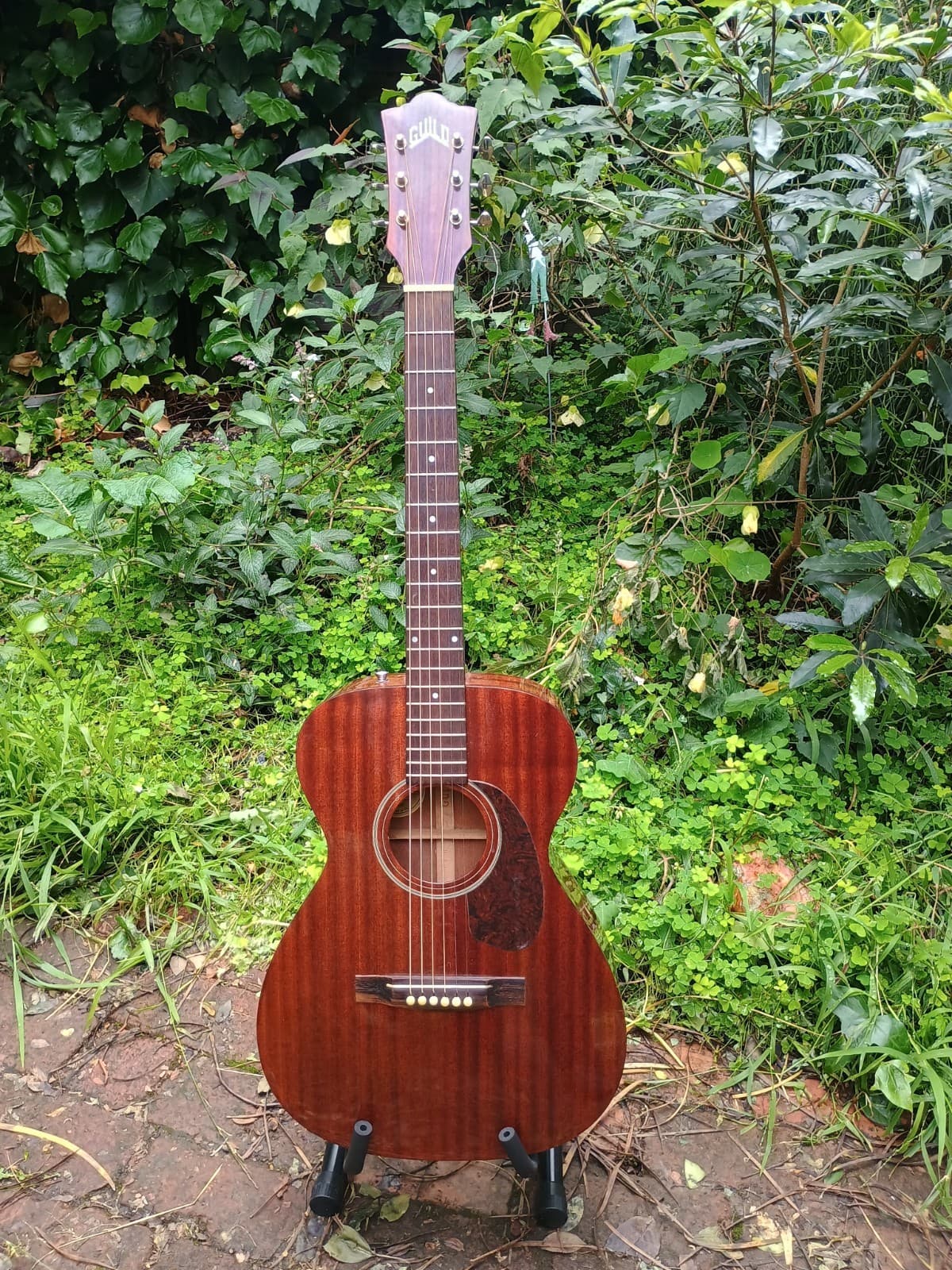 Guild GAD-M20NA guitar, very good used condition, with OHSC