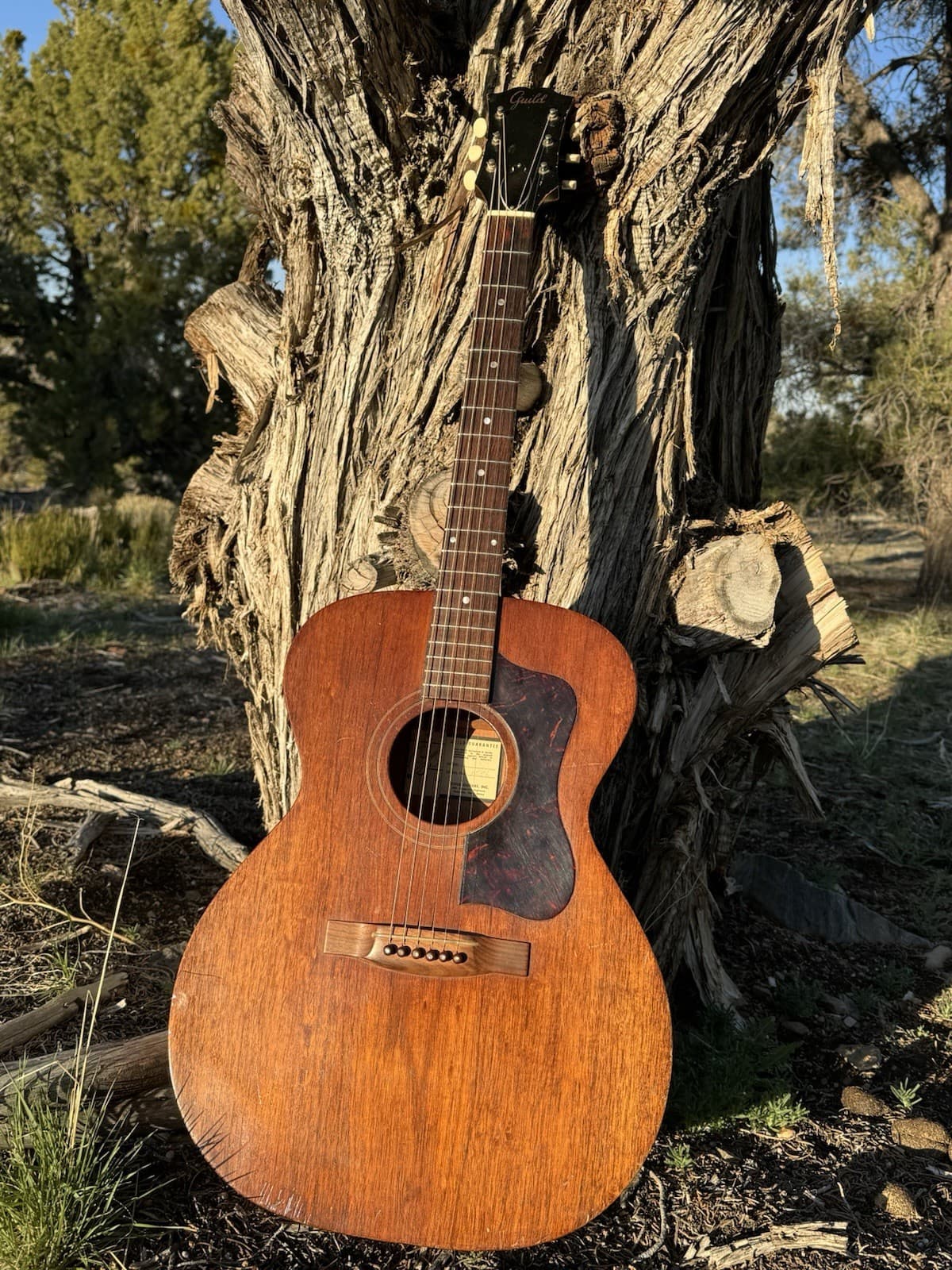 Vintage GUILD M-30 GHOST LABEL Acoustic Guitar With Original Case-Rare!