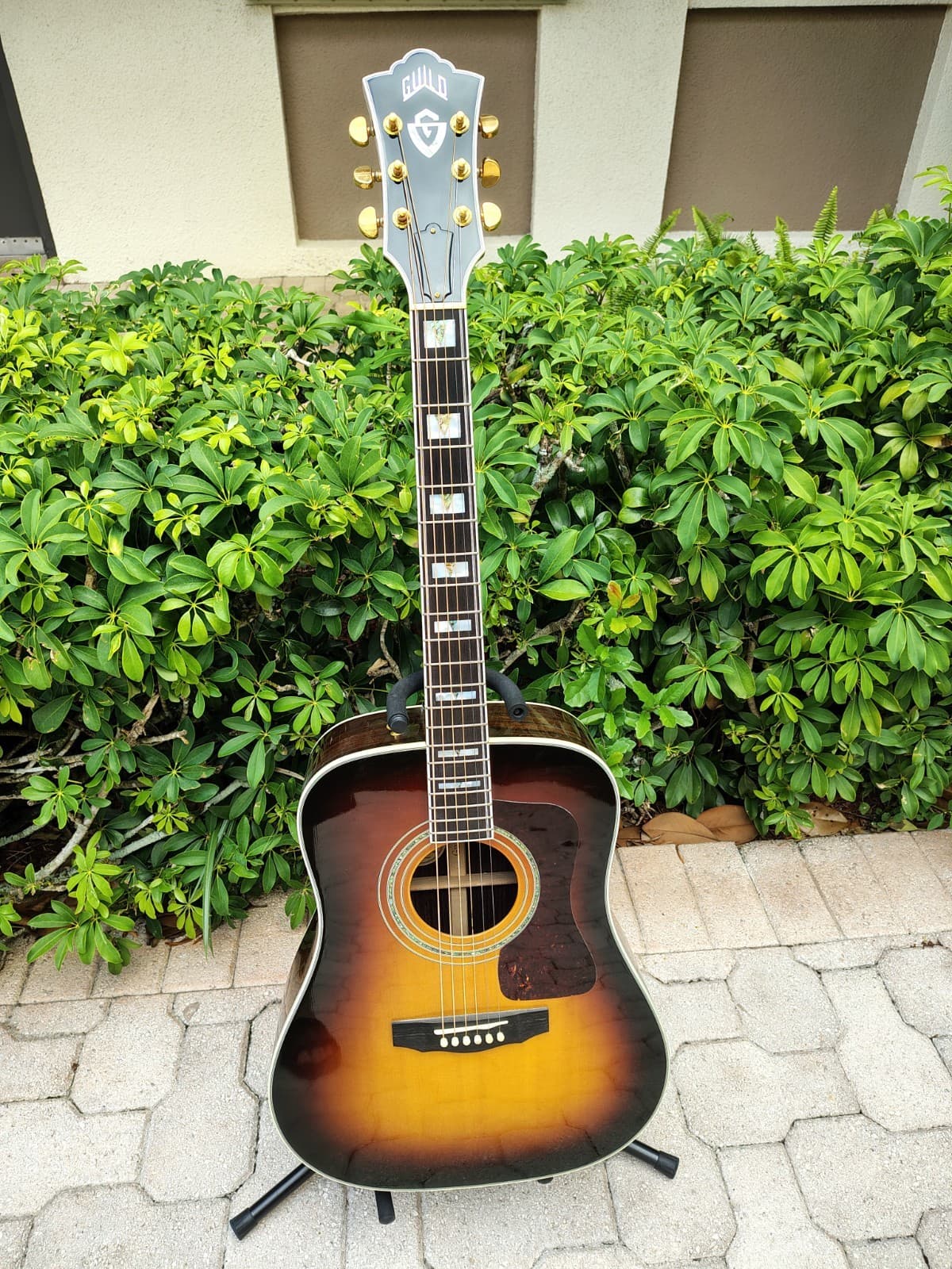 Guild USA D-55 Antique Sunburst Acoustic Guitar
