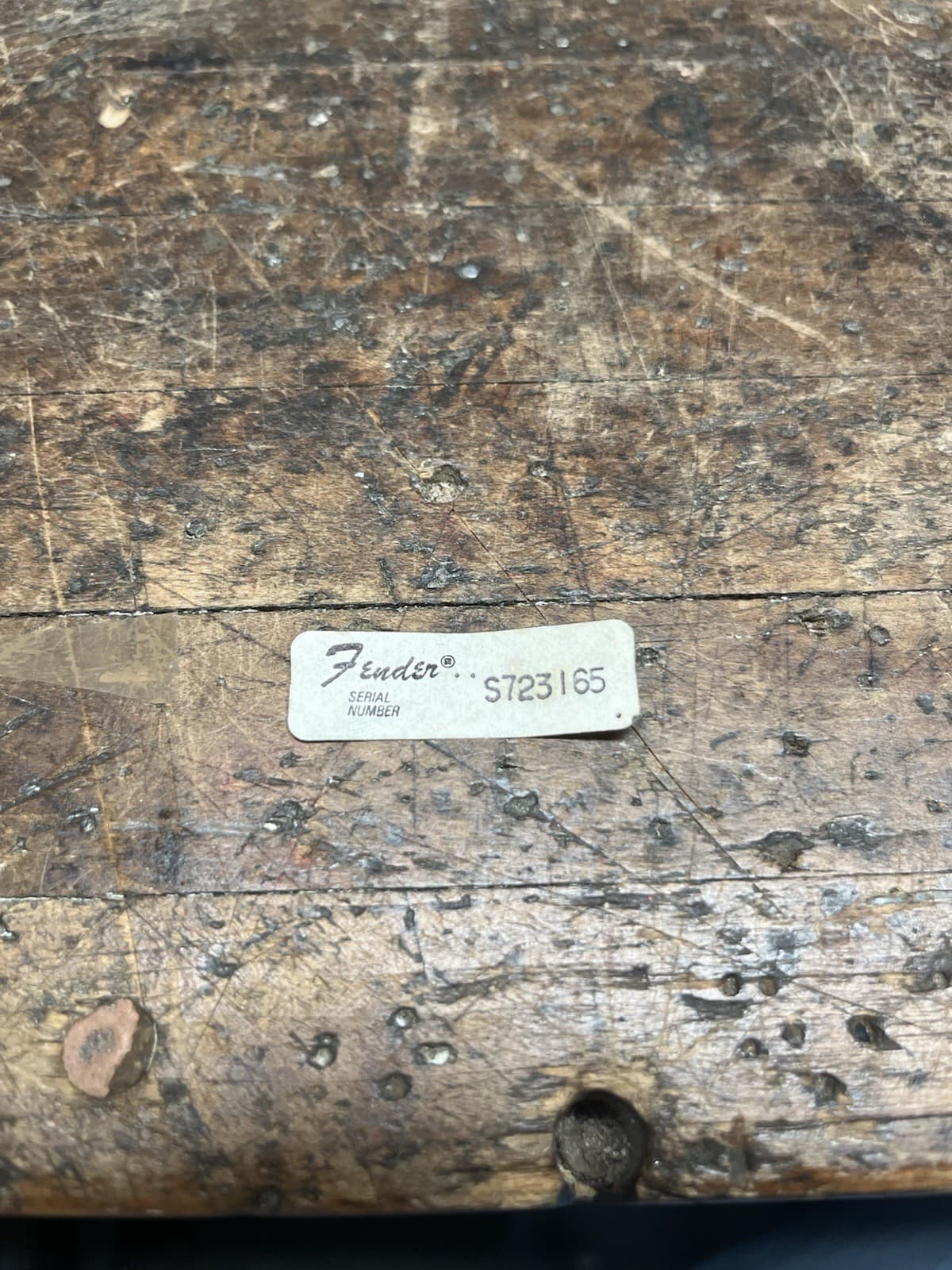 Vintage Fender 1977 Guitar Serial Number Sticker