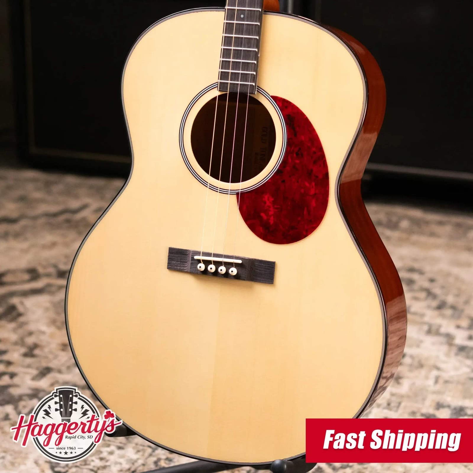 Gold Tone TG-10 Tenor Guitar with Gig Bag - Floor Model