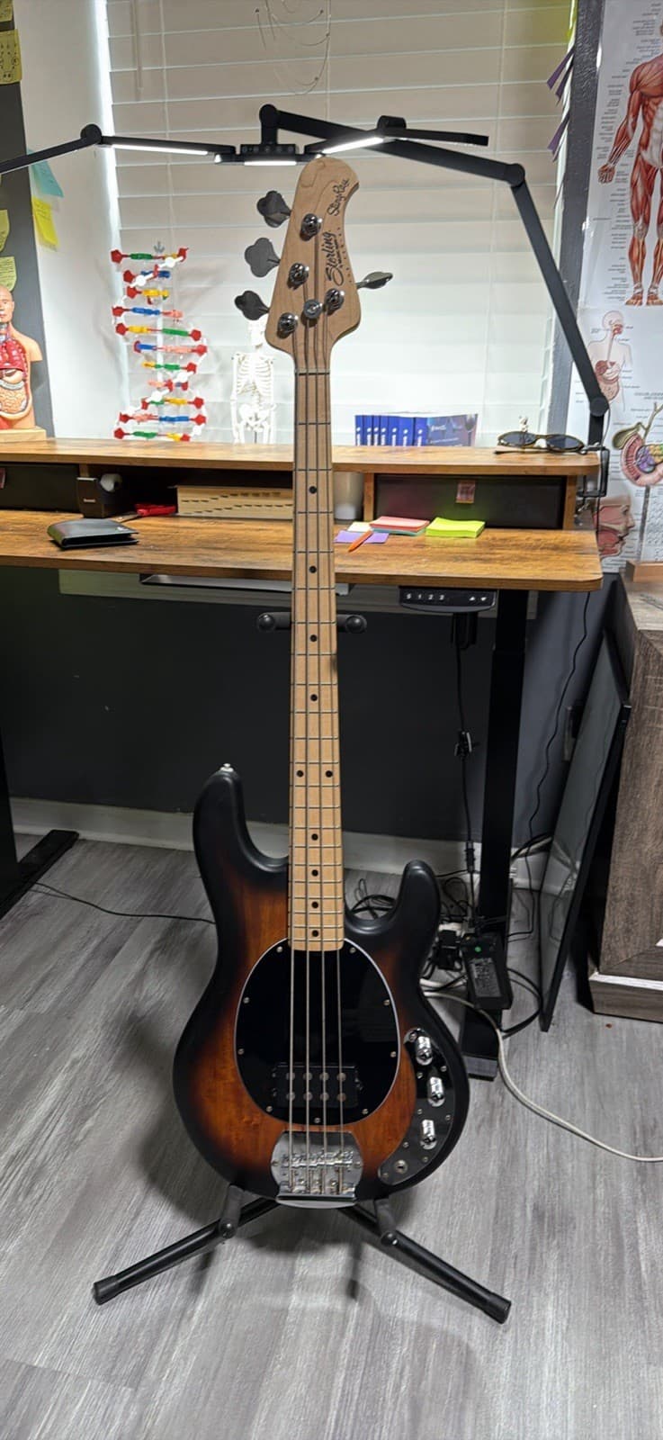 Sterling by Music Man Stingray SUB Series 4-String Bass Guitar