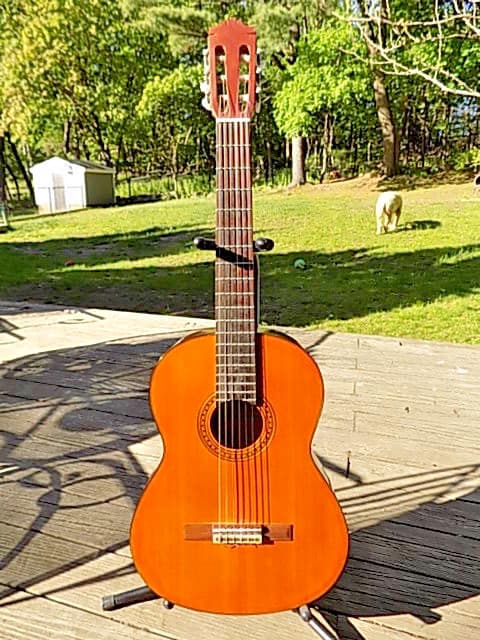Yamaha CG-120A Classical Nylon String Acoustic Guitar Taiwan