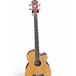 Washburn AB5KA Natural Acoustic Bass Guitar