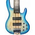 N-glorify FRETLESS BASS 2 Color Sunburst Electric Bass Guitar