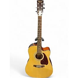 Ibanez PF5ECE NATURAL Acoustic Electric Guitar