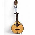 Hora CONCERT BOUZOUKI BROWN Acoustic Guitar