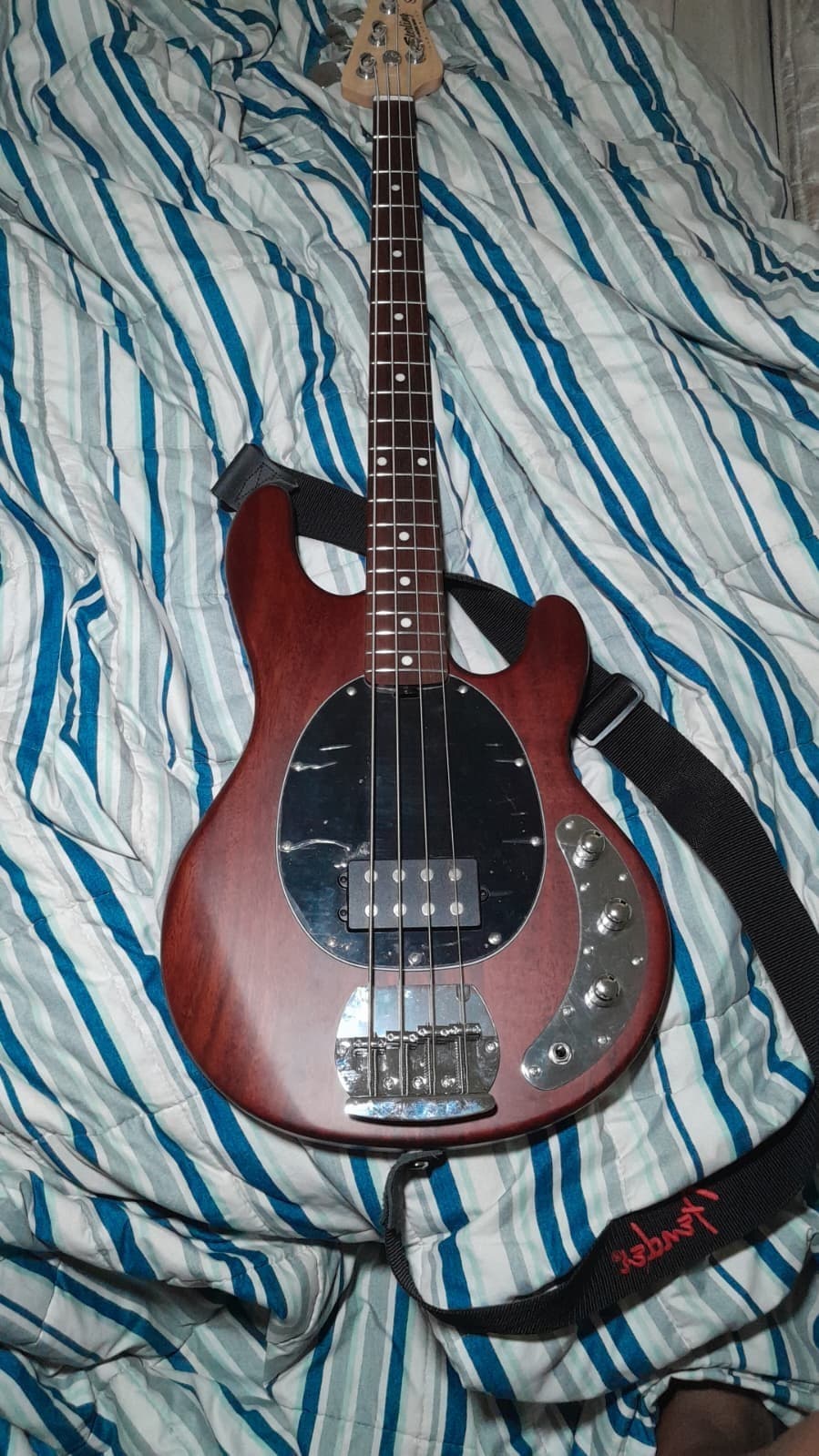 Sterling by Music Man StingRay Ray4 Bass Guitar Walnut Stain Black Pickguard