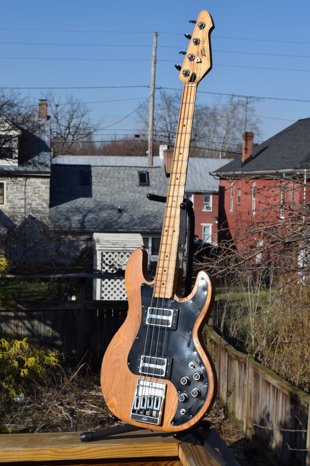 1970's Peavey T-40 Bass Guitar - USA - HSC